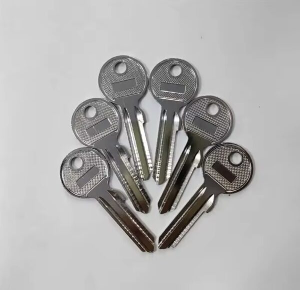 5/10/50/100 Pcs Hi-Rel U5DL Blank Key Iron Vertical Keys Civil Key